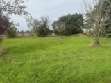 Terrain à bâtir à Nazelles-Négron (37530) 2018451-11068annonce120241204cl57J.jpeg Maisons Stéphanie